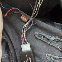 Adattatore rca to subwoofer