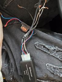 Adattatore rca to subwoofer