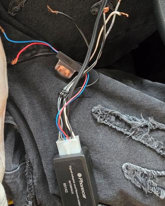 Adattatore rca to subwoofer
