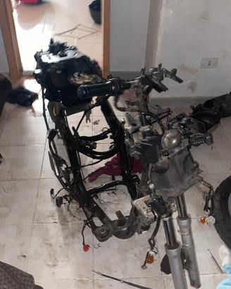 telaio sh 125i 2010