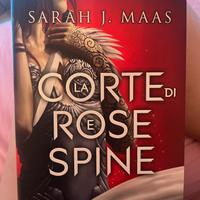 Libro: la corte di rose spine