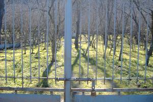 Terreno agricolo produttivo mq.1900