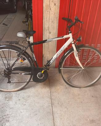 city bike con cambio