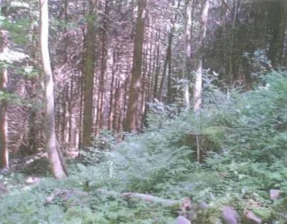Immobile in asta di 11753 m² a Bienno - Vista 5