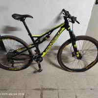 MTB megamo