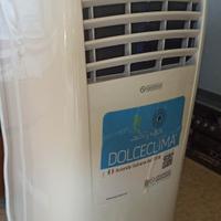 climatizzatore portatile 