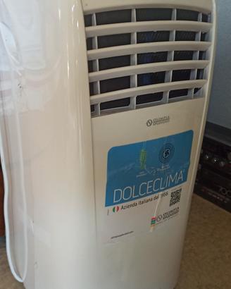 climatizzatore portatile 