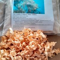 Cuscino rilassante di Pino Cirmolo o Cembro.