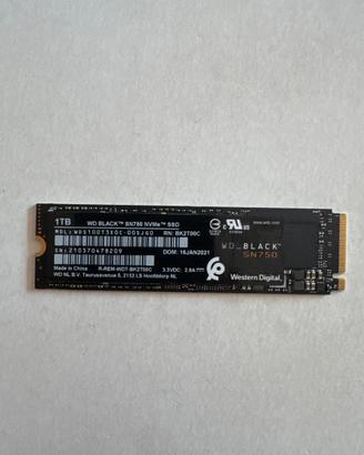 Hard disk 1tb western digital ssd
