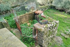 Chiuso a Seneghe, Umbloso