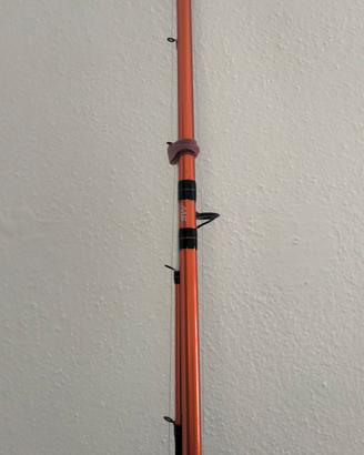 canna da pesca nuova 