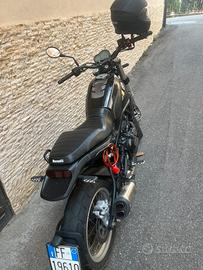 Benelli beloncini 500 trail