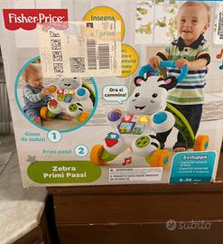 Zebra primi passi