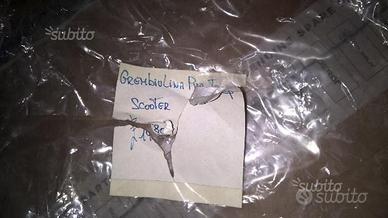 Tenda parabrezza universale trasparente vespa