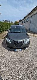 Lancia Ypsilon 1.3 MJT 16V 95 CV 5 porte S&S Elefa