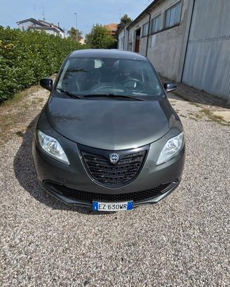 Lancia Ypsilon 1.3 MJT 16V 95 CV 5 porte S&S Elefa
