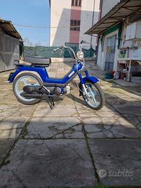 MOTORINO "SI"