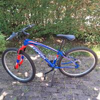 bicicletta da ragazzo