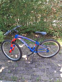 bicicletta da ragazzo