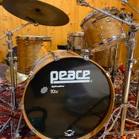 Batteria Peace DNA x-demo