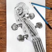 disegno riccio violino 