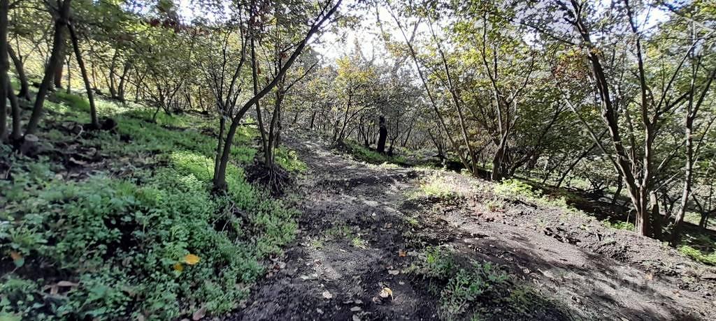 Terreno di 12634 m² a Palma Campania - Vista 5