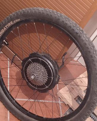 Ricambi Focus Jarifa