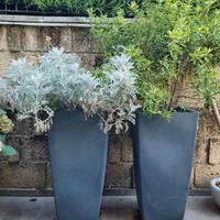 vasi varie tipologie