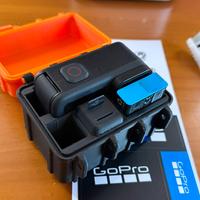 case gopro