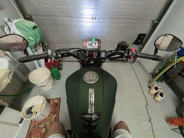 Benelli leoncino 800