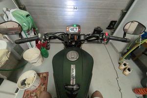 Benelli leoncino 800