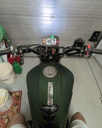 Benelli leoncino 800