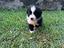 Immagine 5