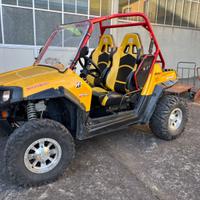 Polarsi rzr 800