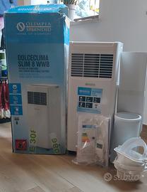 Olimpia Splendid Dolceclima Slim 8 WWB da 8000 BTU