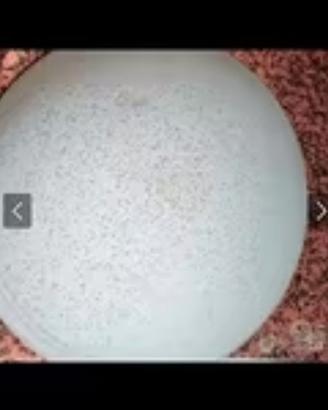 Plafoniera in vetro smerigliato