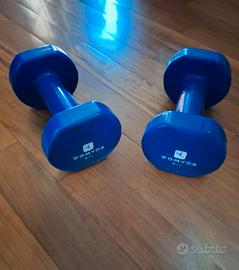 Pesi  da 5kg.