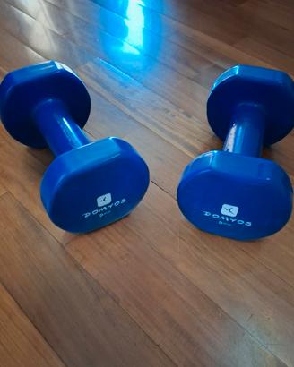 Pesi  da 5kg.
