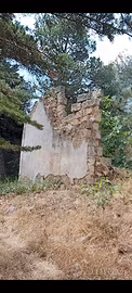 120 ettari Bosco con Fabbricati