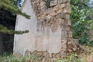 120 ettari Bosco con Fabbricati