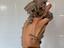 Immagine 2