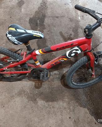 Bici Aurelia 