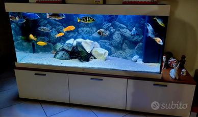 Acquario Juwel 450