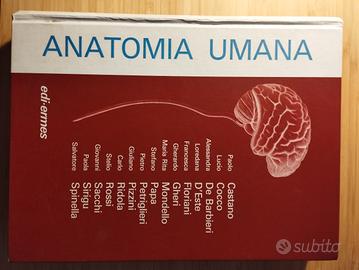 anatomia umana