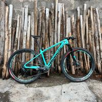 Mtb Bianchi CV RS