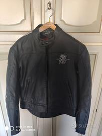 Giacca moto Mv agusta