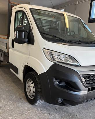 CITROEN 2.0BlueHDi Jump. 131 Bus. PM 11-2018
