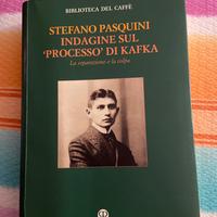 Indagine sul “ Processo  “ di Kafka