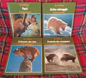 libri