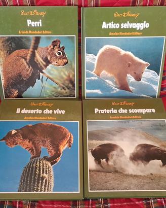 libri